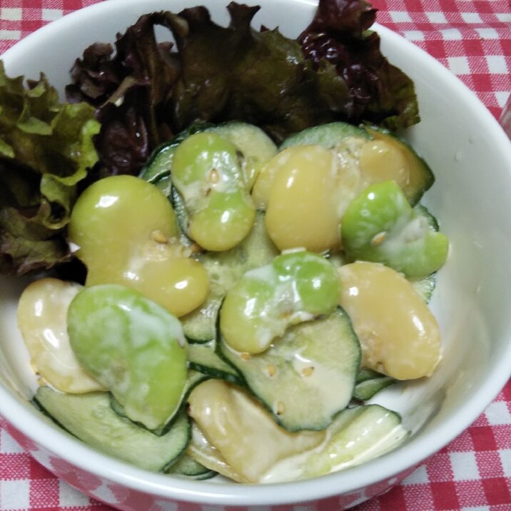 そら豆ときゅうりのマヨ醤油ごま和え☆